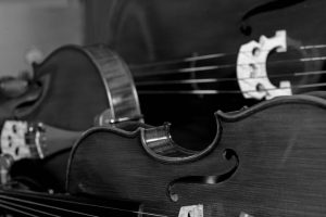 A photo of violins in grayscale